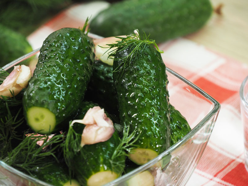 20 простых и вкусных рецептов малосольных огурцов
