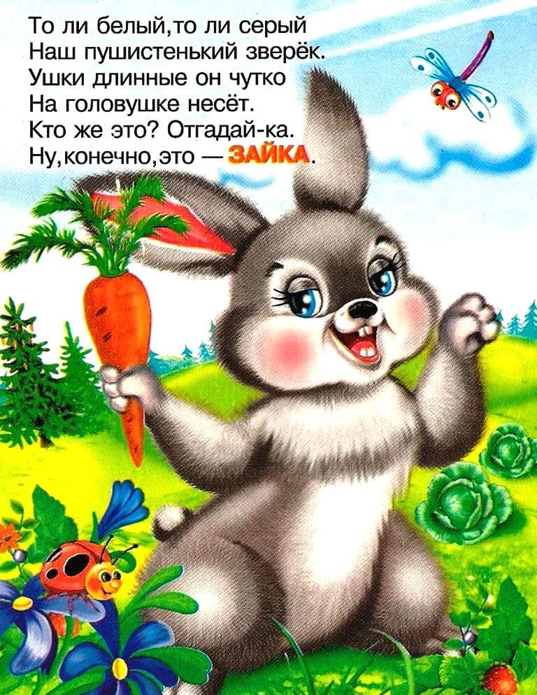 Солнечный зайчик