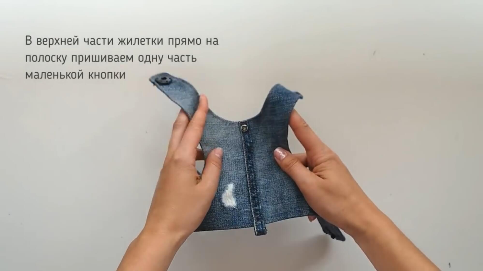 Шлейка для собаки своими руками: выбор материала, пошаговая инструкция изготовления