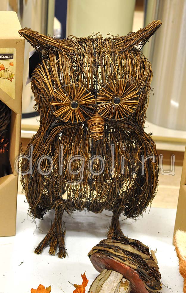 Сова из сказки