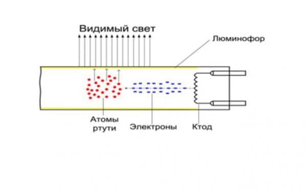 Экономка из лампы накаливания