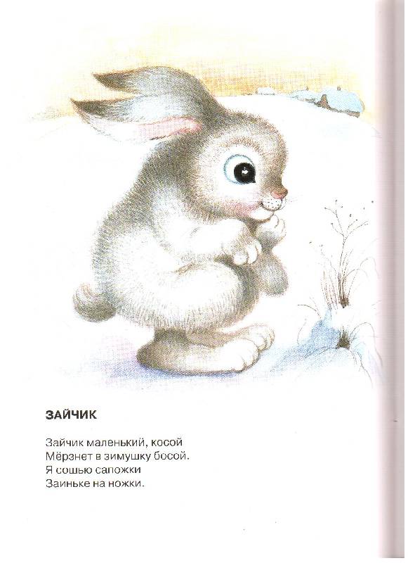 Солнечный зайчик