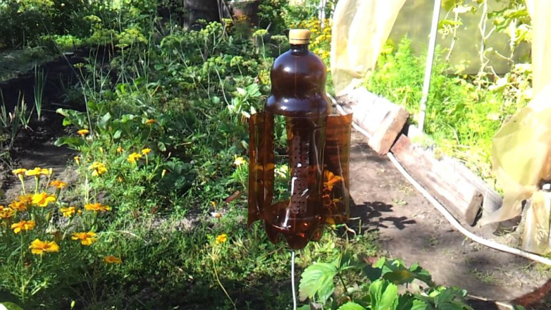 Электрическая ловушка для кротов и слепышей своими руками