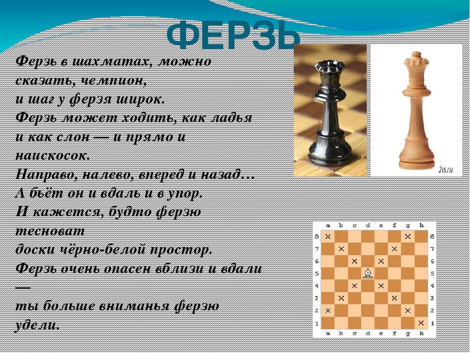 Шахматные фигуры — название, ценность и примеры