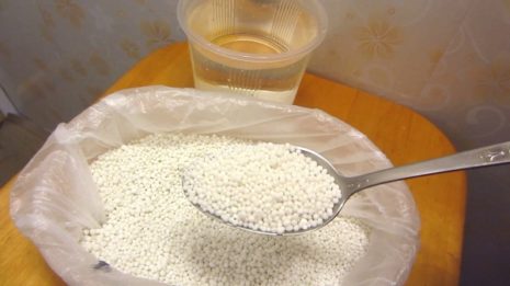 Три проверенных подкормки чеснока весной и летом для большой урожайности