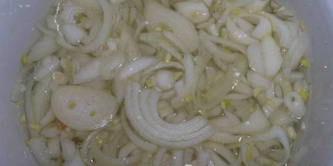 Шашлык в духовке на углях