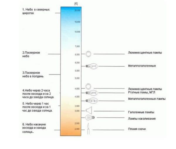 Экономка из лампы накаливания