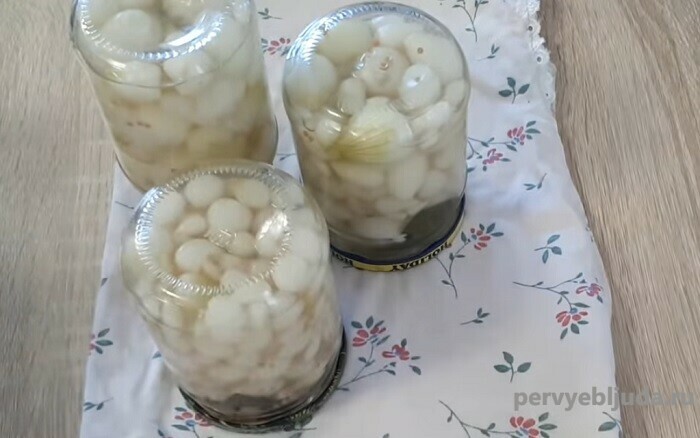 Маринованный красный лук (для канапе, салатов, бургеров и плова)