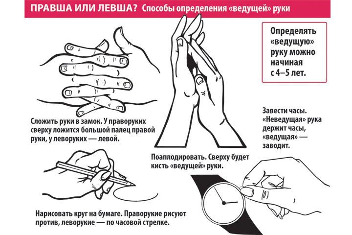 Люди-левши: особенности, интересные факты - psychbook.ru