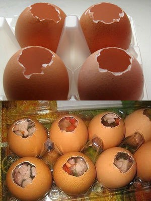 Делаем станок для взбивания яиц в скорлупе