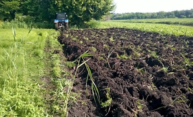 Тяжелый компактный топорик из тракторного плуга