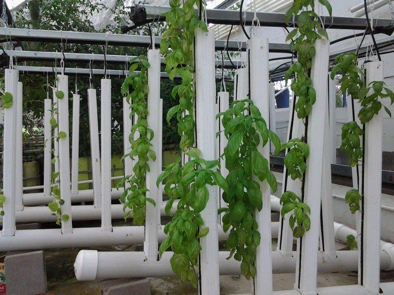 Душ для собаки из полипропиленовых труб