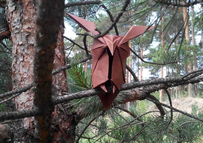 Сова из сказки
