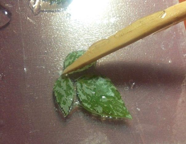 Подставки из эпоксидной смолы, инкрустированные сусальным золотом своими руками