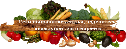 Электрическая ловушка для кротов и слепышей своими руками