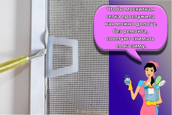 Как мгновенно заделать дыру в москитной сетке за 1 минуту