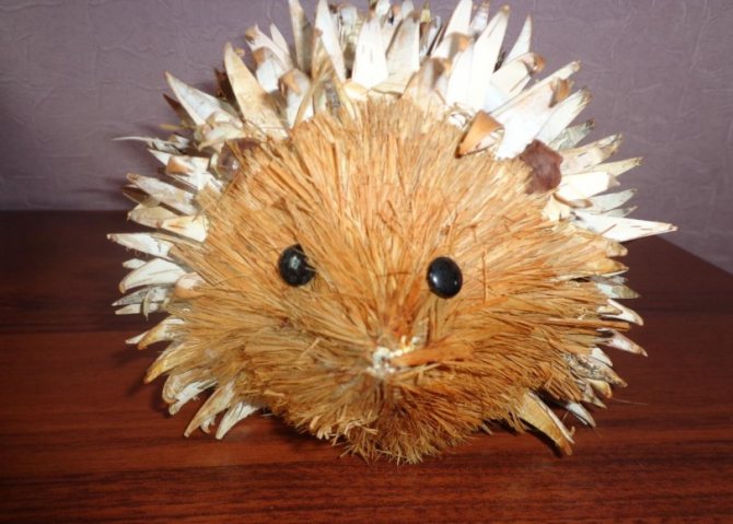 Ёжик из бутылки